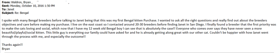 San Diego Bengal kittens breeder