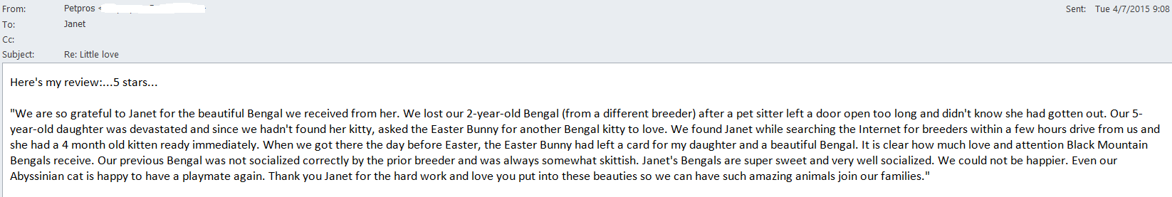 San Diego Bengal cats